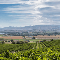Snake River Valley Idaho Terroir