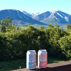 3100 Cellars canned wines infront of mountains