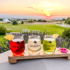 Sawtooth Mimosa Flight infron of sunset