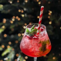 Cranberry Hugo Spritz with Idaho wine