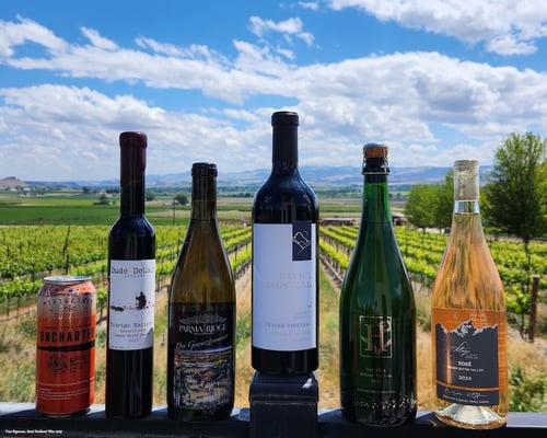 2025-idaho-wine-cider-competition-sweepstakes-photo-by-traci-degerman-GreatNorthwestWine.com-for-web