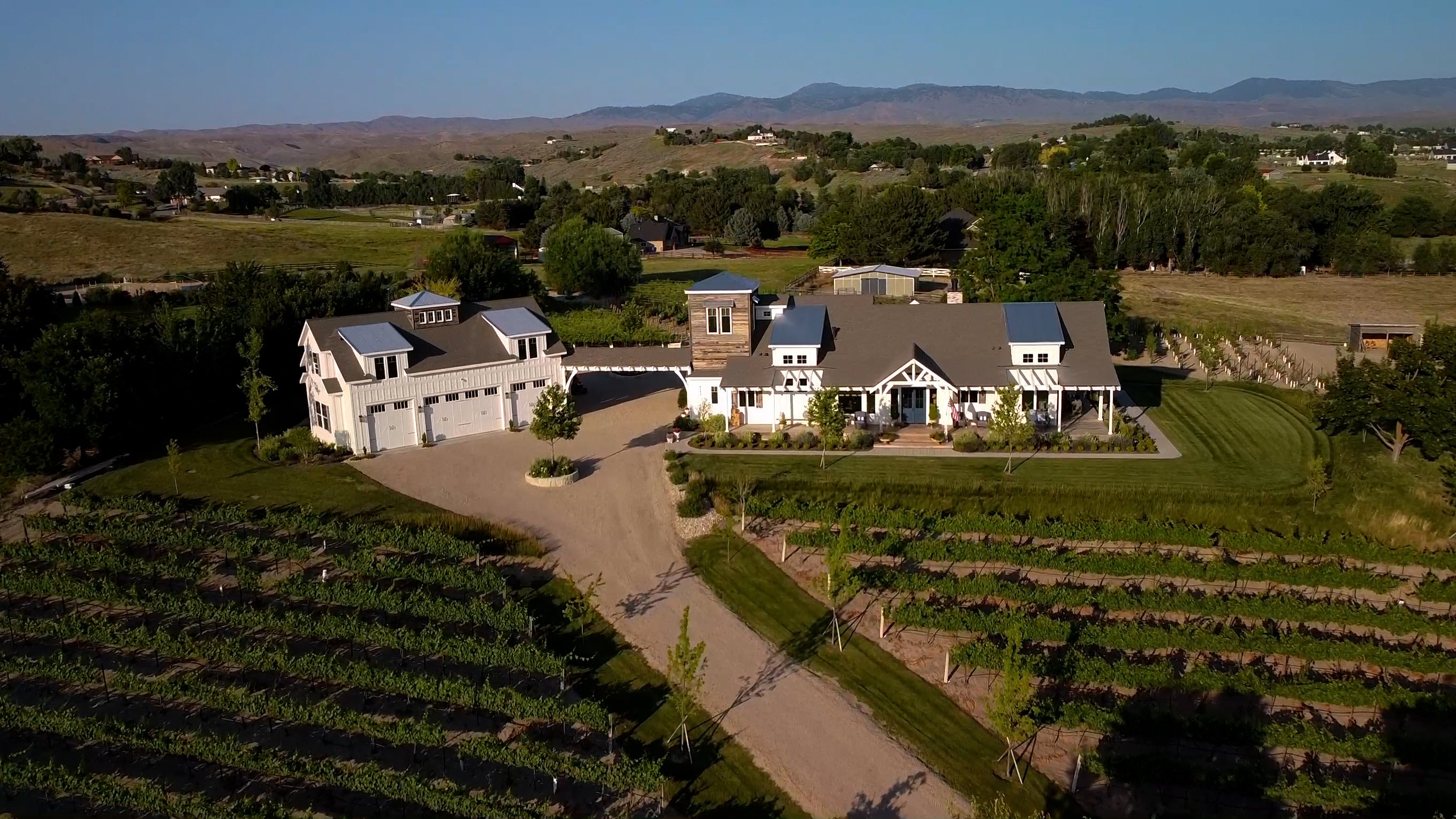 Eagle-Foothills-Vineyard-RH