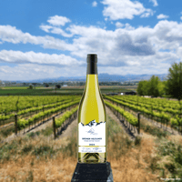 Telaya's Grüner Veltliner wine varietal