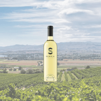 Scoria Gruner Veltliner