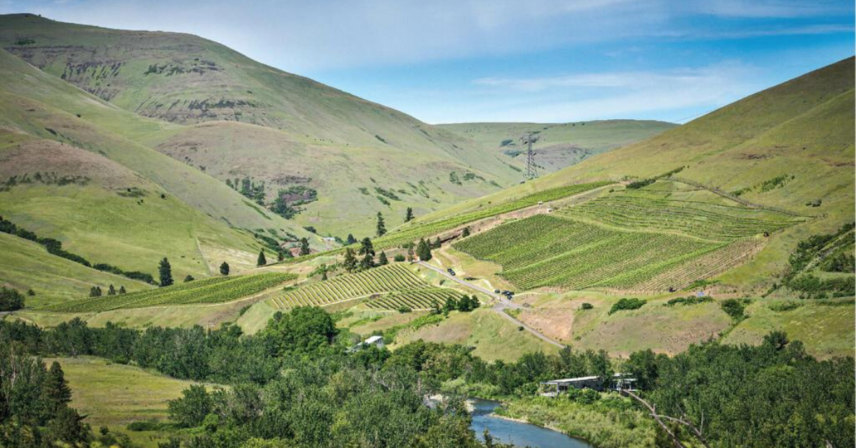 Aerial of Lewis Clark Valley AVA in the spring