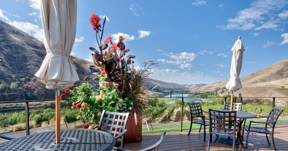 Rivaura winery patio overlooking scenic vineyard and mountains