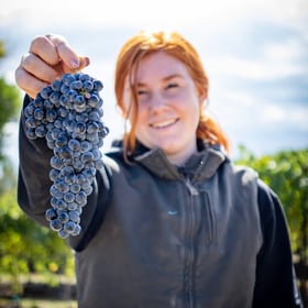 Sophia Martin Vineyard Manager holding grapes