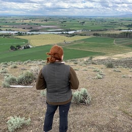 Idaho vineyard manager overlooking farmland