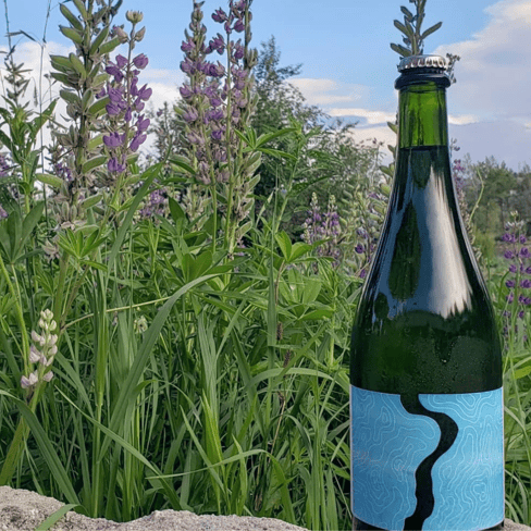 Bottle of Blanc De Blanc from 3100 Cellars sitting on rocks next to flowers