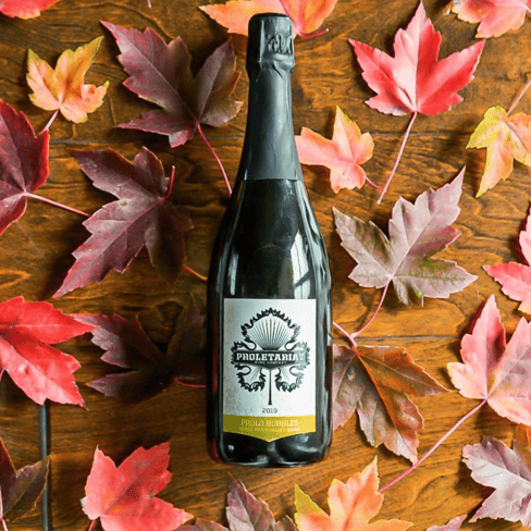 Bottle of Sparkling Riesling from Proletariat on table with fall leaves