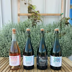 3100 Cellars bottles of sparkling wine