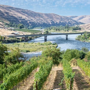 Northern Idaho Vineyard, Lake & Mountains