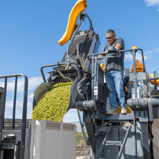 Machine picking grapes during Idaho Harvest