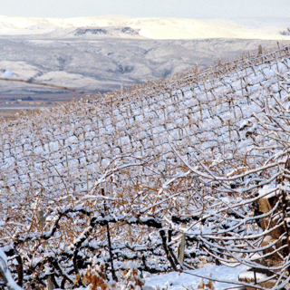 Idaho vineyard on mountain with snow during winter