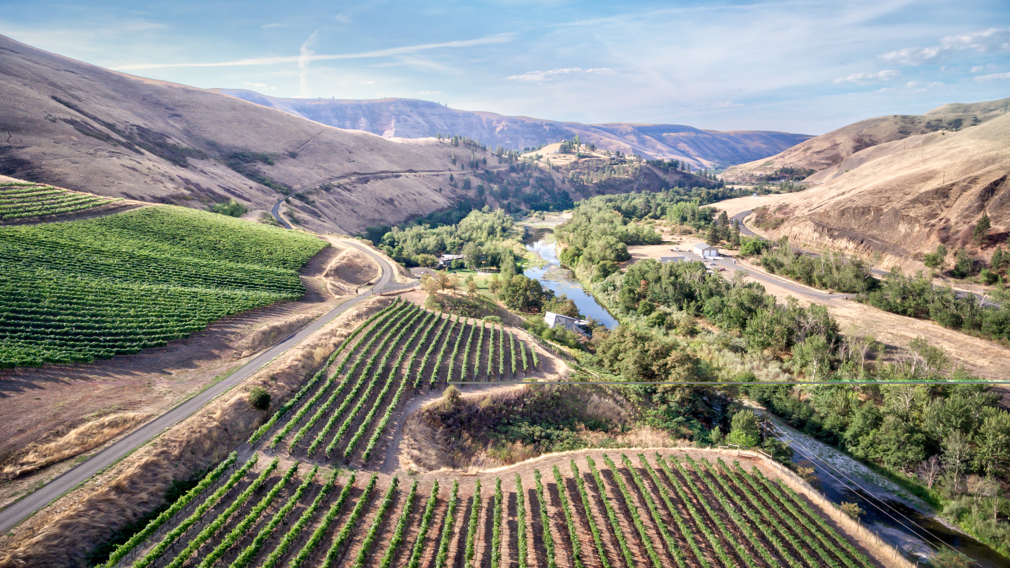 Lewis-Clark-Valley-Vineyard-River-CC
