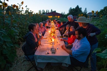 Farm to table dinner in orchard