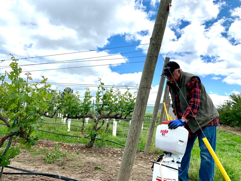 Applying Harvest to Harvest (H2H) as a soil amendment.