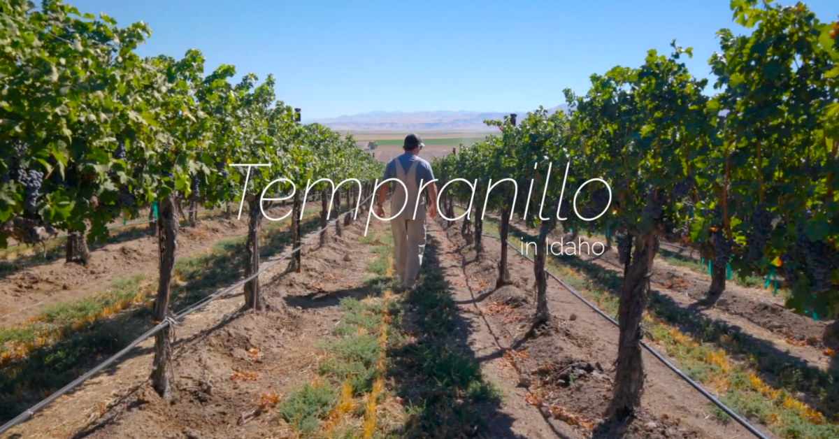 Idaho Tempranillo Varietal