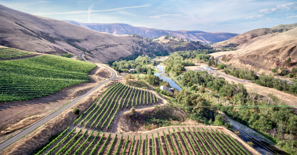 Aerial of Lewis Clark Valley AVA